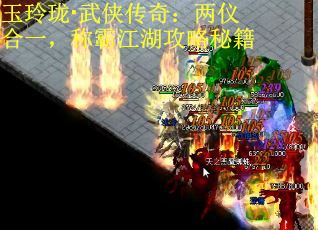 玉玲珑·武侠传奇：两仪合一，称霸江湖攻略秘籍