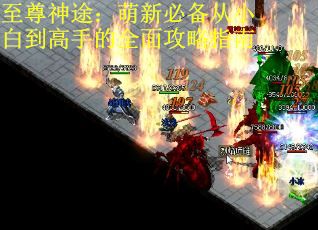至尊神途：萌新必备从小白到高手的全面攻略指南