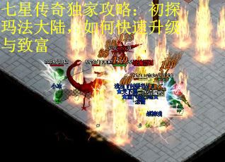 七星传奇独家攻略：初探玛法大陆，如何快速升级与致富