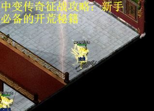 中变传奇征战攻略：新手必备的开荒秘籍