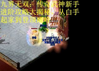 九界无双：传奇武神新手进阶攻略大揭秘，从白手起家到登顶巅峰
