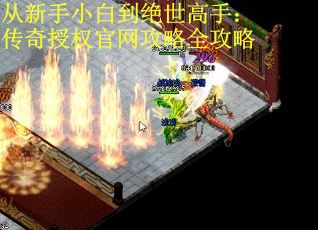 从新手小白到绝世高手：传奇授权官网攻略全攻略