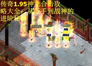 传奇1.95神龙合击攻略大全：从新手到战神的进阶秘典
