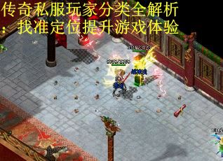 传奇私服玩家分类全解析：找准定位提升游戏体验 第1张