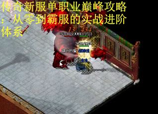 传奇新服单职业巅峰攻略：从零到霸服的实战进阶体系 第1张