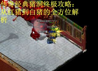 传奇经典猪洞终极攻略：从红猪到白猪的全方位解析 第1张