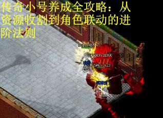 传奇小号养成全攻略：从资源收割到角色联动的进阶法则